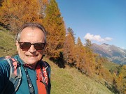 29 Spettacolo di panorami e di larici colorati d'autunno